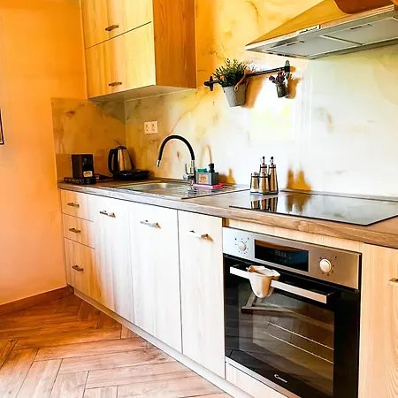 شقة Elleria's House Frínion